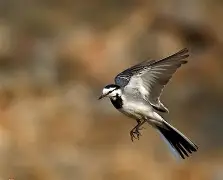 ,楒耴??.嘙艻讄?_;蹯_~+l仨鸰臵騁3C的简单介绍